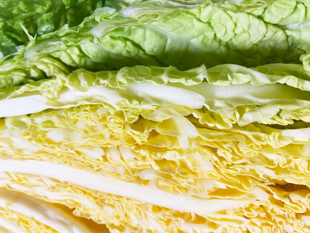 白菜はどれくらいもつ？賞味期限や冷蔵・冷凍保存方法について解説！
