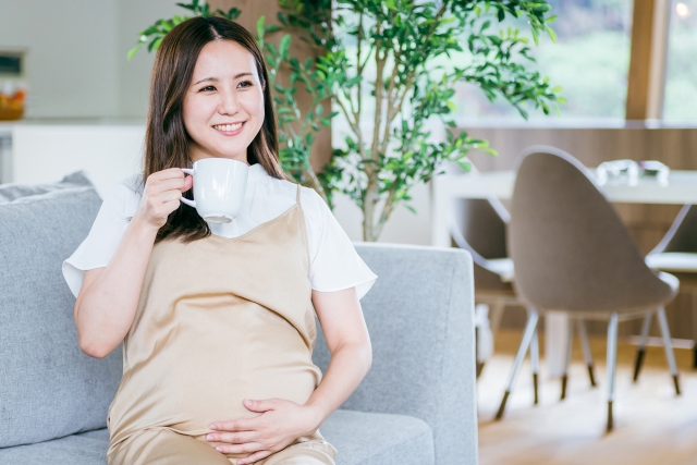 黒烏龍茶は妊娠中飲んでもいい？カフェインとの関係についての解説！